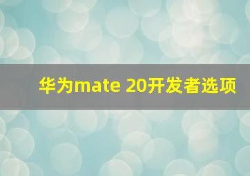 华为mate 20开发者选项